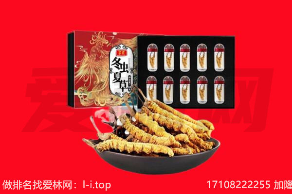 兴庆区回收虫草.jpg